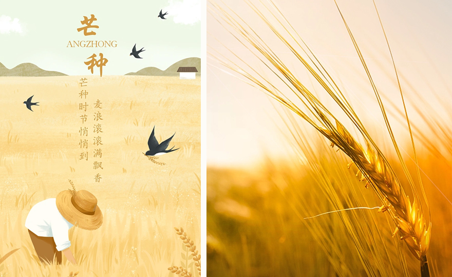 江苏德恩传统文化：仲夏至此开始！